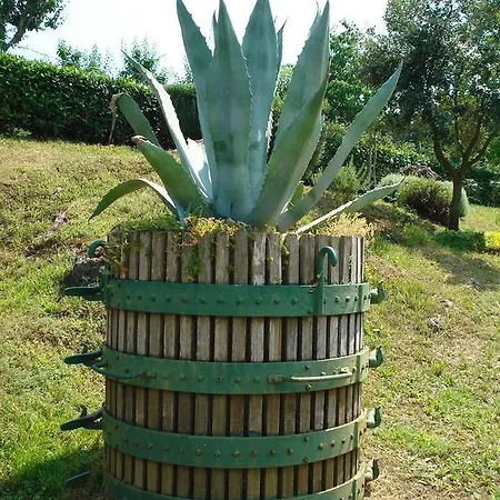 Agriturismo La Vigna
